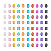 300Pcs 10 Colors Natural Freshwater Shell Beads SHEL-TA0001-06-3