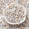 Baking Paint Glass Seed Beads SEED-F005-01A-07-2