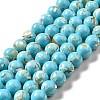 Synthetic Turquoise and Sea Shell Assembled Beads Strands G-D482-01D-07-2