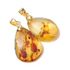 Natural Amber Pendants PALLOY-JF05260-01-2