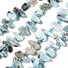 Natural Larimar Beads Strands G-L649-A07-01-2