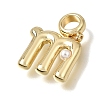 Brass Pendants KK-E806-01G-M-2