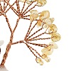 Natural Citrine Chips Tree of Life Decorations DJEW-A017-01P-4
