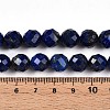 Natural Lapis Lazuli Beads Strands G-S345-10mm-24-5