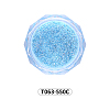Shining Nail Art Glitter Powder MRMJ-T063-550C-2