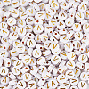 500Pcs Plating Acrylic Beads PACR-TADJ0001-01V-2