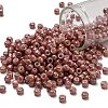 TOHO 6/0 Round Beads X-SEED-TR06-1201-1