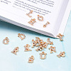 Alloy Rhinestone Charms ALRI-T008-01G-14