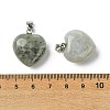 Natural Labradorite Pendants G-F820-10A-06-3