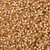 MIYUKI Delica Beads X-SEED-J020-DB2171-3