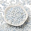 Baking Paint Glass Seed Beads SEED-F006-01A-02-2