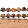 Natural Picasso Jasper/Polychrome Jasper Beads Strands G-C116-A118-01-6