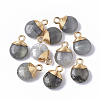 Natural Labradorite Pendants X-G-S359-021A-1