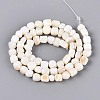 Natural Freshwater Shell Beads Strands BSHE-T014-51B-2
