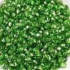6/0 Glass Seed Beads SEED-T006-04C-02-3