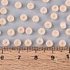 FGB Frosted Transparent Glass Seed Beads SEED-N013-02A-03-4