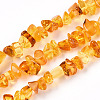 Natural Amber Beads Strands G-T138-235A-1