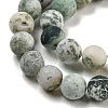 Natural Tree Agate Frosted Agate Round Gemstone Beads Strands G-O151-01-6mm-4