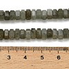 Natural Labradorite Beads Strands G-G317-A10-3x6mm-5