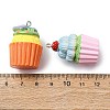 Opaque Resin Pendants X-RESI-K049-03-3
