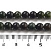 Natural Canadian Jade Beads Strands G-NH0029-01A-5