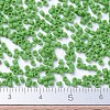 MIYUKI Delica Beads SEED-J020-DB0754-4