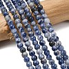 Natural Blue Spot Jasper Beads X-GSR4mmC036-1