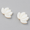Natural Freshwater Shell Beads X-SHEL-S276-103-2