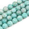 Natural Amazonite Beads Strands G-F461-12-10mm-01-2