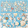 Natural Sea Shell Beads Kits SSHEL-PH0002-49-5