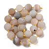 Natural Geode/Druzy Agate Beads Strands G-A248-A05-01-3