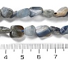 Natural Kyanite Beads Strands G-P497-01C-60-5