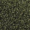 MIYUKI Delica Beads X-SEED-J020-DB2404-2