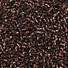 MIYUKI Delica Beads SEED-X0054-DB0150-3
