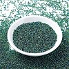 MIYUKI Round Rocailles Beads SEED-G007-RR0344-3