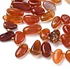 Natural Red Agate Beads Strands G-P604-A14-01-4