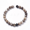 Natural Silver Leaf Jasper Beads Strands G-K181-10mm-O01-3
