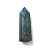 Natural Apatite Display Decoration G-E137-01C-01-2