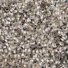 TOHO 6/0 Demi Round Beads SEED-DR06-PF21F-3