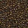 TOHO Round Seed Beads SEED-JPTR08-0459-2