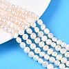 Natural Cultured Freshwater Pearl Beads Strands PEAR-N014-06D-01-1