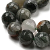 Natural Afican Bloodstone Beads Strands G-C079-B02-02-4