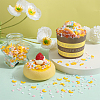 Handmade Polymer Clay Sprinkles Mix CLAY-SC0001-98A-4