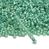 TOHO 8/0 Round Beads X-SEED-TR08-2119-3
