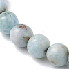 Natural Larimar Round Beads Stretch Bracelets for Women Men BJEW-JB13382-02-3