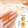 Picasso Baking Paint Glass Seed Beads SEED-TA0001-62C-3