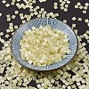 MIYUKI TILA Beads X-SEED-J020-TL2554-2