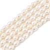 Natural Cultured Freshwater Pearl Beads Strands PEAR-I007-01B-06B-2