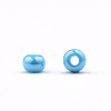 11/0 Czech Opaque Glass Seed Beads SEED-N004-003B-16-2