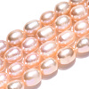 Natural Cultured Freshwater Pearl Beads Strands PEAR-N012-07L-4